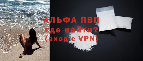 амф Гусь-Хрустальный