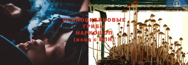 метамфетамин Гусев