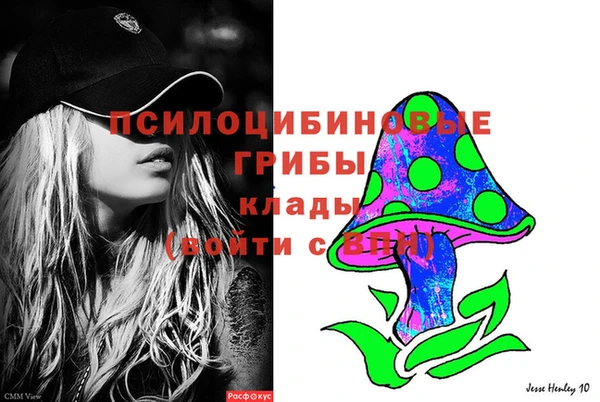 хмурый Гусиноозёрск