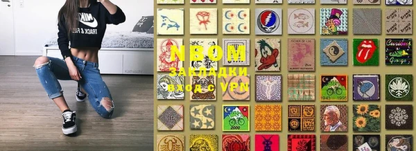 амф Гусь-Хрустальный
