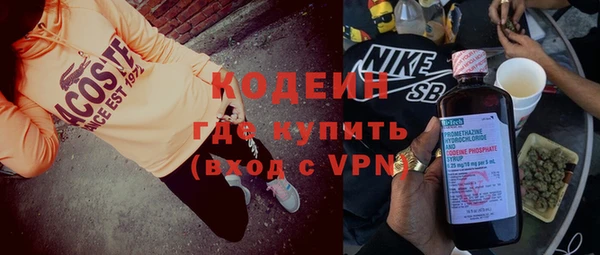 амф Гусь-Хрустальный