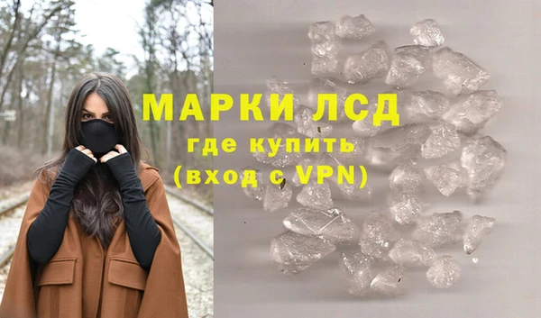 амф Гусь-Хрустальный
