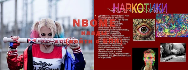 амф Гусь-Хрустальный