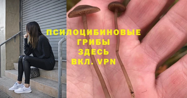 метамфетамин Гусев