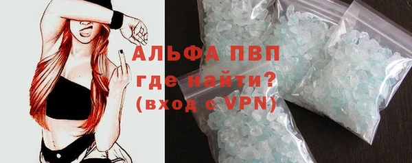 амф Гусь-Хрустальный