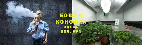 амф Гусь-Хрустальный