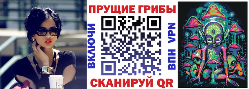 Галлюциногенные грибы Psilocybine cubensis  Севастополь 